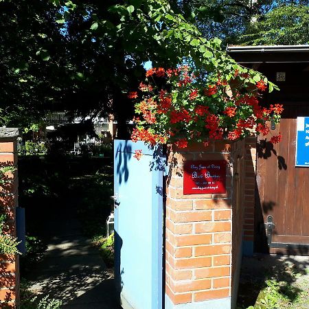 Bed and Breakfast Chez Jean Et Daisy Riehen Экстерьер фото