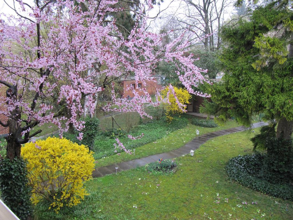 Bed and Breakfast Chez Jean Et Daisy Riehen Экстерьер фото